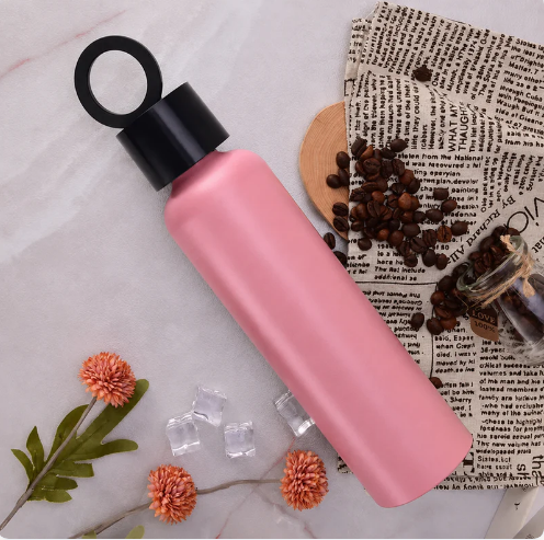 Vacuum Insulated Water Bottle with Holder