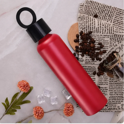 Vacuum Insulated Water Bottle with Holder