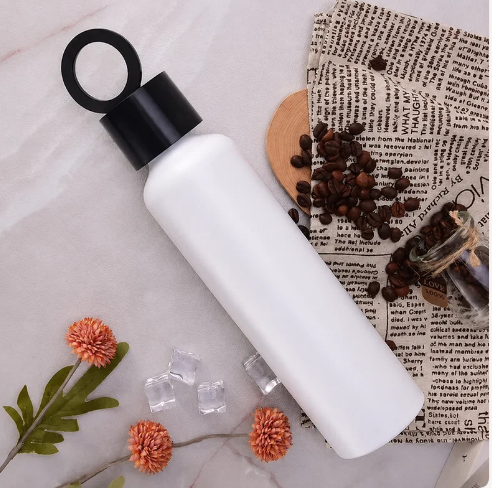 Vacuum Insulated Water Bottle with Holder