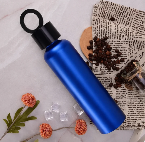 Vacuum Insulated Water Bottle with Holder